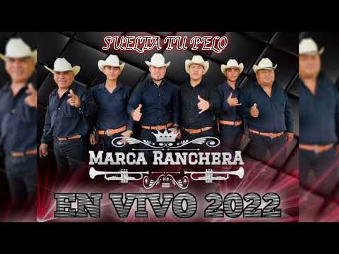 Marca Ranchera - Suelta Tu Pelo ( Cover )