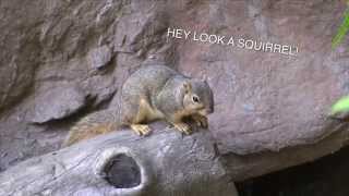 NO ONE IS INNOCENT - SEX PISTOLS - RONNIE BIGGS - ADHD