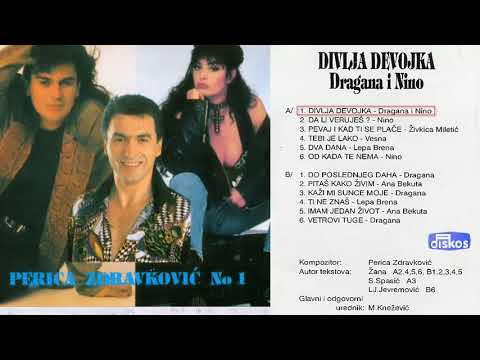 Dragana Mirkovic i Nino - Divlja devojka - (Audio 1995)