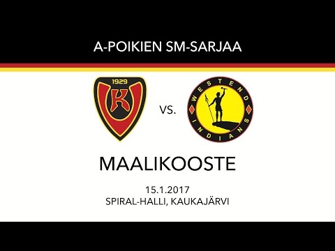 PASM: Koovee-Indians, 15.1.2017, Maalikooste