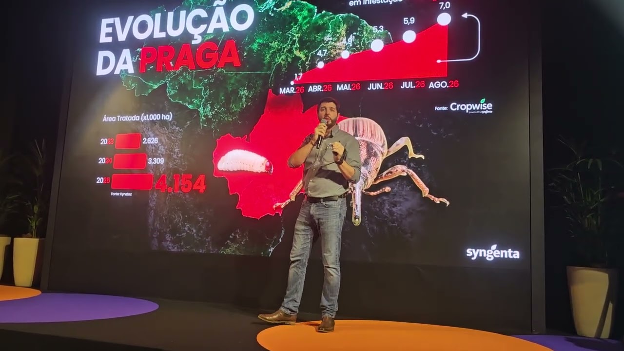 Sphenophorus levis avança no país e eleva perdas nos canaviais