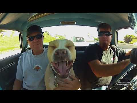 Roadkill S02E11 Rat Rod Custom 1950 Mercury Rescue