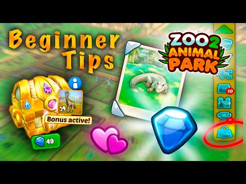 Beginner Tips | Zoo 2: Animal Park