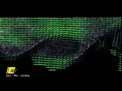 Particle Image Velocimetry (PIV)