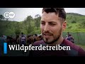 Wildpferdetreiben von Sabucedo in Galizien | Euromaxx Wildpferdetreiben von Sabucedo in Galizien | Euromaxx