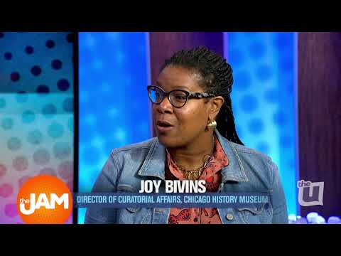 Race: Are We So Different? At The Chicago History Museum