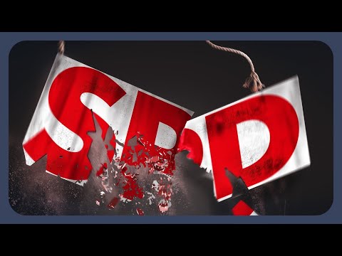 Der Absturz der SPD. Das sind die Gründe!