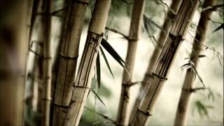 Hope Has a Place - Enya