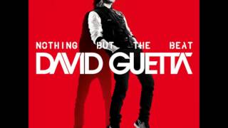 David Guetta ft. Will.I.Am - Nothing Really Matters