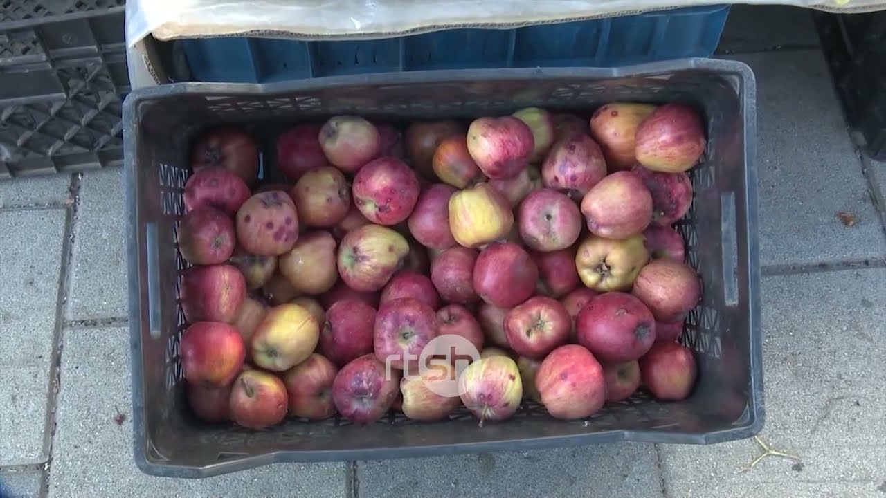 Tregtimi i produkteve sezonale – Shfrytëzimi i tokës përmes pemëtarisë