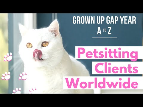 Pet Sitting Clients Worldwide | Grown Up Gap Year A to Z