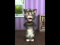Gatito cantando Mosa 