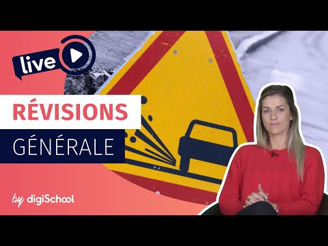 Code de la route : tout connaître pour passer l'examen !