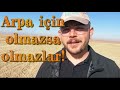 YOU MUST WATCH BEFORE PLANTING BARLEY Barley Planting In 4 Stages
