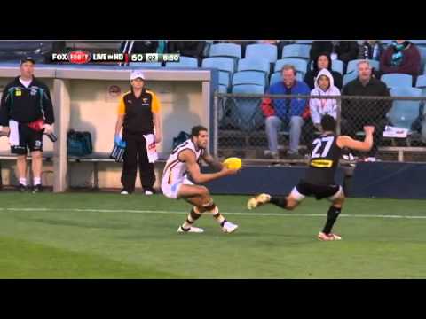 Round 11 AFL - Port Adelaide v Hawthorn highlights