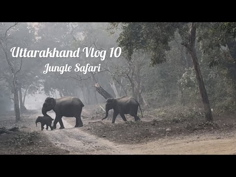 Uttarakhand Vlog 10 Jungle Safari 🚗