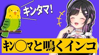 夜牛詩乃が最近見た面白すぎる動画【 にじさんじ/切り抜き/よいゆめ 】