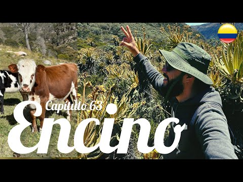 ENCINO SANTANDER 🇨🇴 El pueblo PAJARERO DE Colombia Ruta 87 Capítulo 63