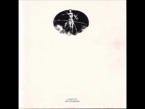 The Silver Surfers - She's lost control