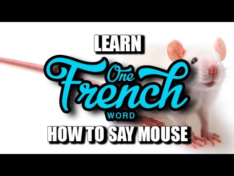 YouTube video about: How do you spell mouse in french?