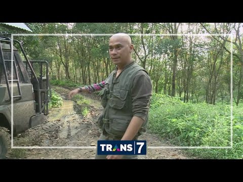 Vitamin untuk potensi dan testosteron Ulasan Grandaxinum dan potensi