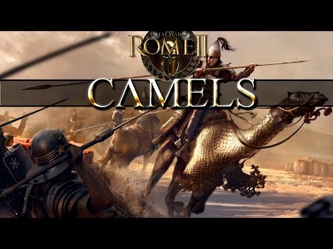 Total War Rome 2 Mechanics - Camel Cataphracts vs Eastern Cataphracts