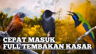 Download lagu 2 jam MASTERAN AUDIO JERNIH‼️TEPUS SRIGUNTING DAN CUCAK CUNGKOK mp3