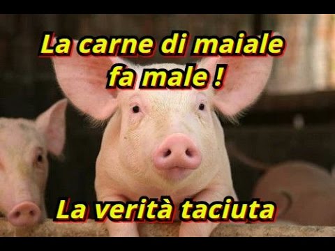 Complesso di parassiti di analisi del sangue che clinica Mezzi da parassiti in risposte di organismo
