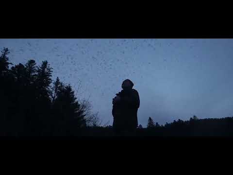 Το τραγούδι του δάσους trailer