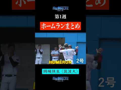経済学科 【豪快5発‼】ホームラン集 ①#shorts
