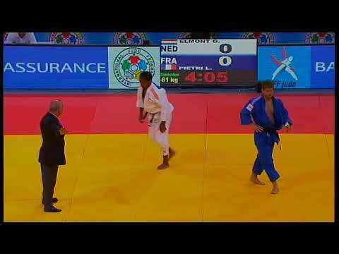 WCS 2011 81 ELMONT Guillaume NED PIETRI Loic FRA1