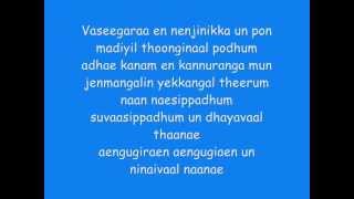 Minnale - Vaseegara Lyrics