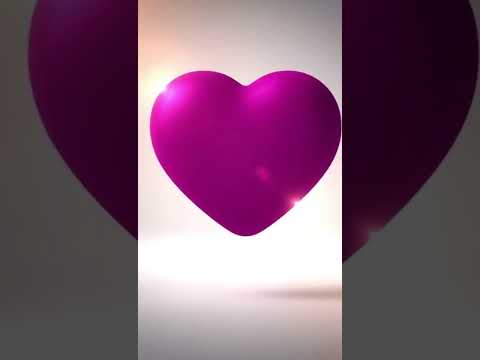 Vídeo de Chow chow