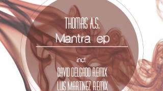 Thomas A S   Mantra David Delgado Remix