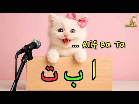😻 Learn Alif Ba Ta with the adorable Pink Kitty Pita 📝 ا ب ت
