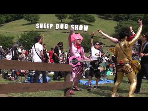 1000人ROCK FES.GUNMA 2019 リンダリンダ