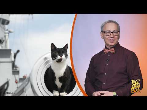 Всё обо всём. Непотопляемый Сэм. Выпуск от 26.03.26