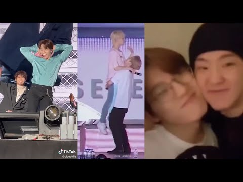 Seventeen Dino Tiktok compilation coz everyone in Caratland is secretly a Dinonara #seventeen #dino