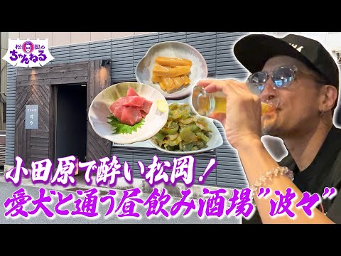 小田原で酔い松岡！愛犬と通う昼飲み酒場”波々”