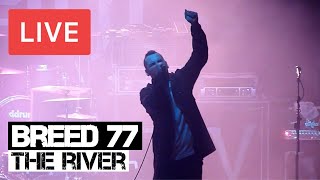 Breed 77 - The River Live in [HD] @ Electric Ballroom - London 2012