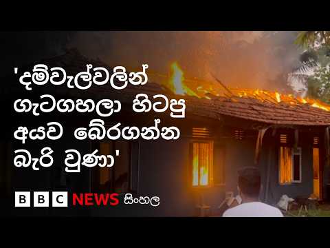 'සෙනෙහසේ කැදැල්ලේ ගින්න': හිමිකරු ඉදිරිපිට පිළිස්සුණු සිරුරු ඉවතට ගැනේ | BBC News සිංහල