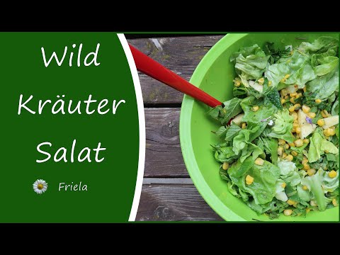 Wildkräutersalat - leckere Heilpflanzen im Frühling