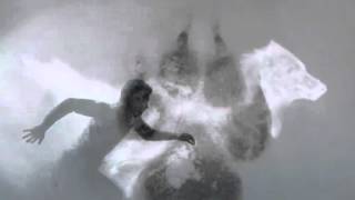 Litfiba animale di zona