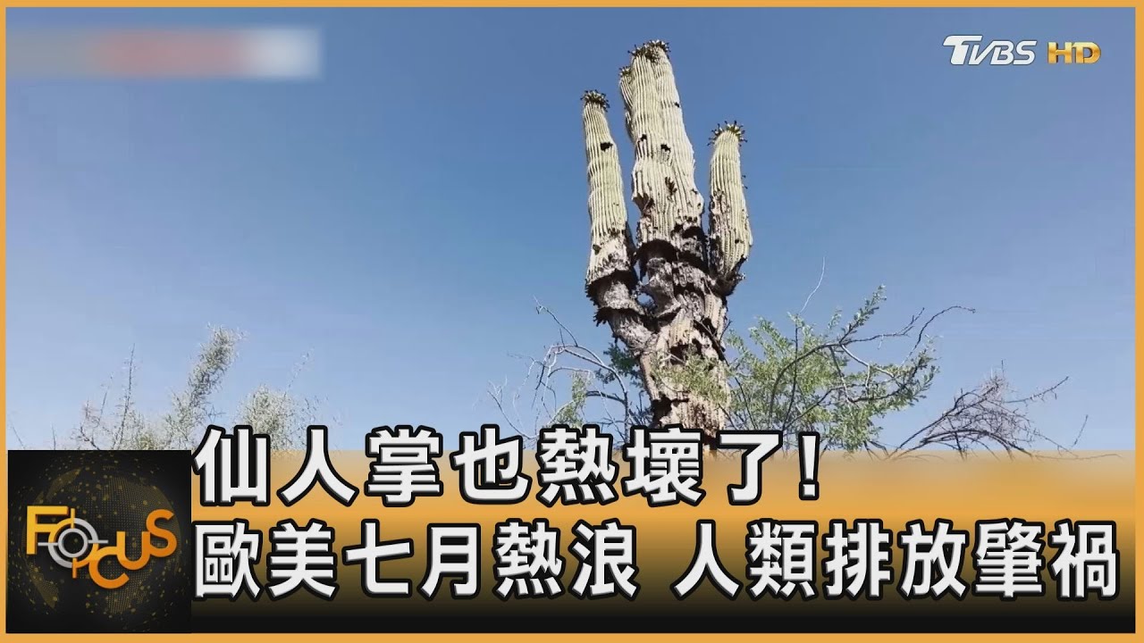 仙人掌也熱壞了！歐美七月熱浪　人類排放肇禍