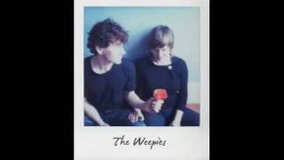 The Weepies - Not Your Year