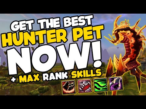 How to get the BEST Hunter Pet in TBC Prepatch, Max Rank Abilities and Power Level to 60