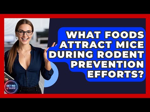 What Foods Attract Mice During Rodent Prevention Efforts? | Get Rid Of Guide