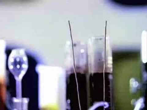 Axel K Soundsystem Vivo Brasil