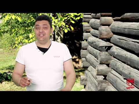 Sorin - Lumea asta asa-i facuta