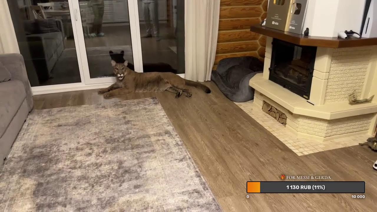 Прямой эфир. 23 ноября